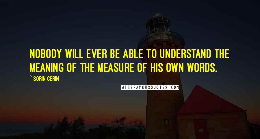 Sorin Cerin Quotes: Nobody will ever be able to understand the meaning of the measure of his own words.