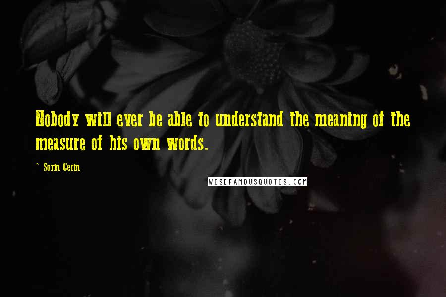 Sorin Cerin Quotes: Nobody will ever be able to understand the meaning of the measure of his own words.