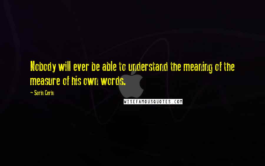 Sorin Cerin Quotes: Nobody will ever be able to understand the meaning of the measure of his own words.