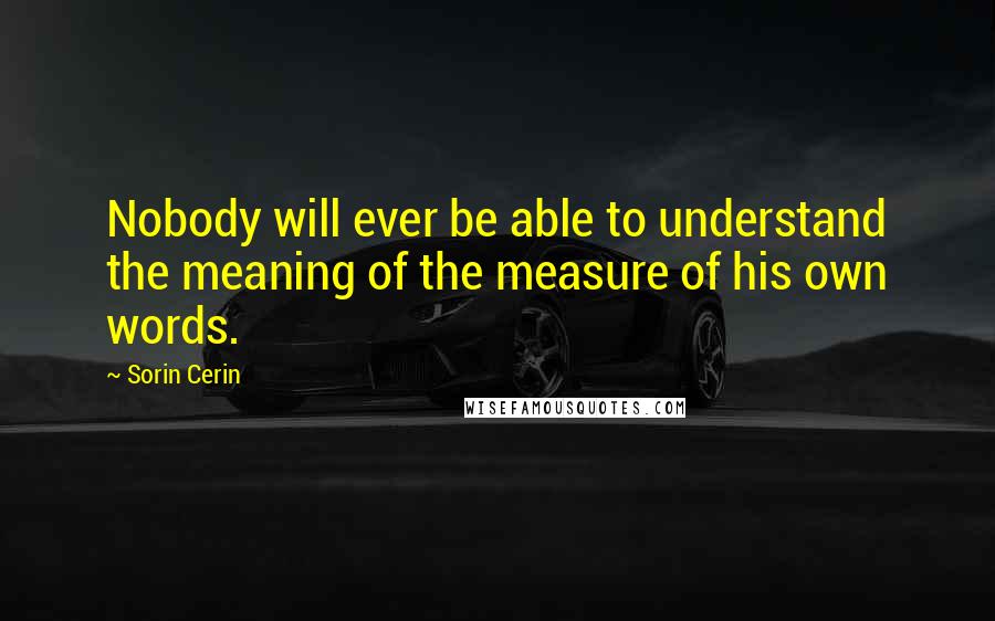 Sorin Cerin Quotes: Nobody will ever be able to understand the meaning of the measure of his own words.