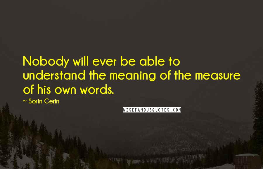 Sorin Cerin Quotes: Nobody will ever be able to understand the meaning of the measure of his own words.