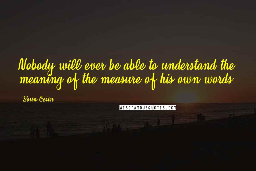 Sorin Cerin Quotes: Nobody will ever be able to understand the meaning of the measure of his own words.