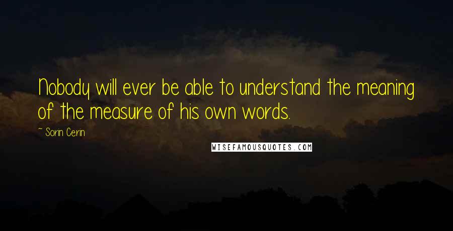 Sorin Cerin Quotes: Nobody will ever be able to understand the meaning of the measure of his own words.