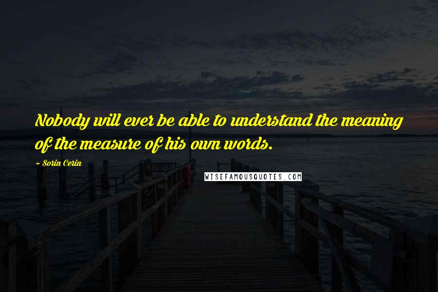 Sorin Cerin Quotes: Nobody will ever be able to understand the meaning of the measure of his own words.