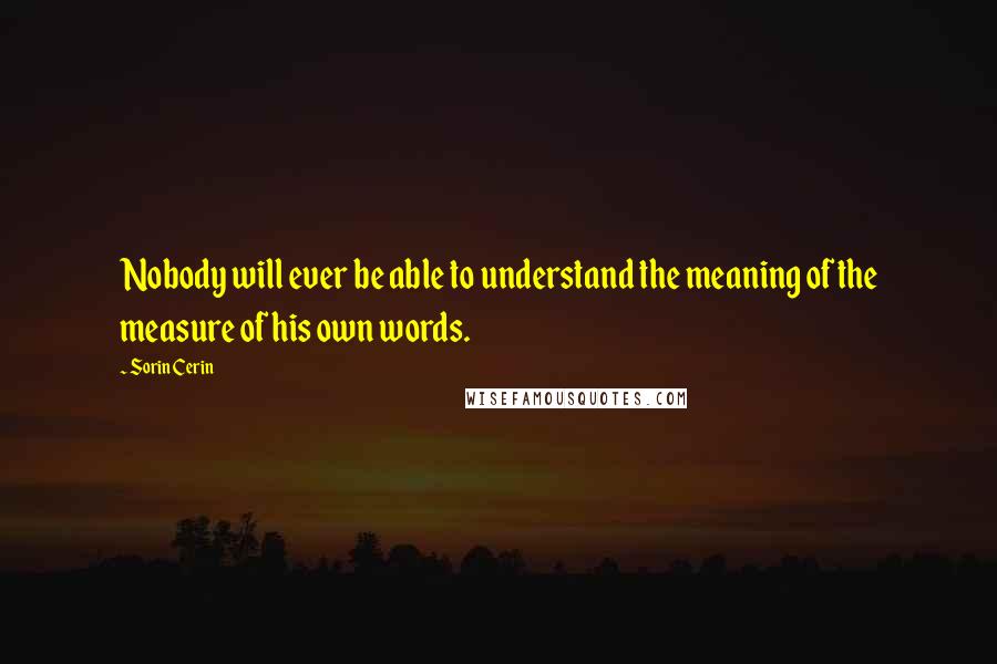 Sorin Cerin Quotes: Nobody will ever be able to understand the meaning of the measure of his own words.