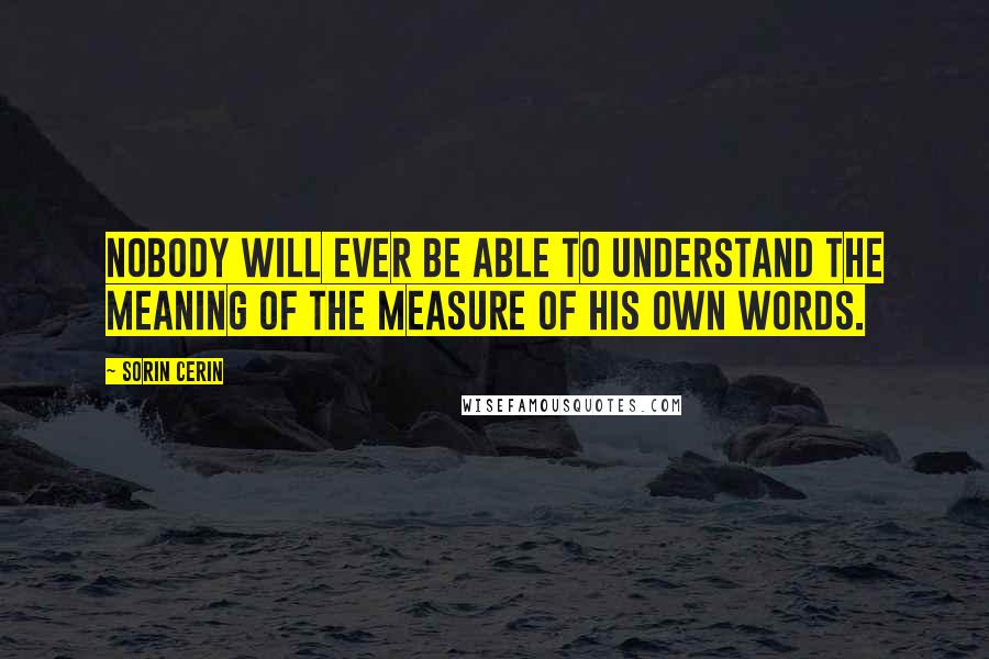 Sorin Cerin Quotes: Nobody will ever be able to understand the meaning of the measure of his own words.