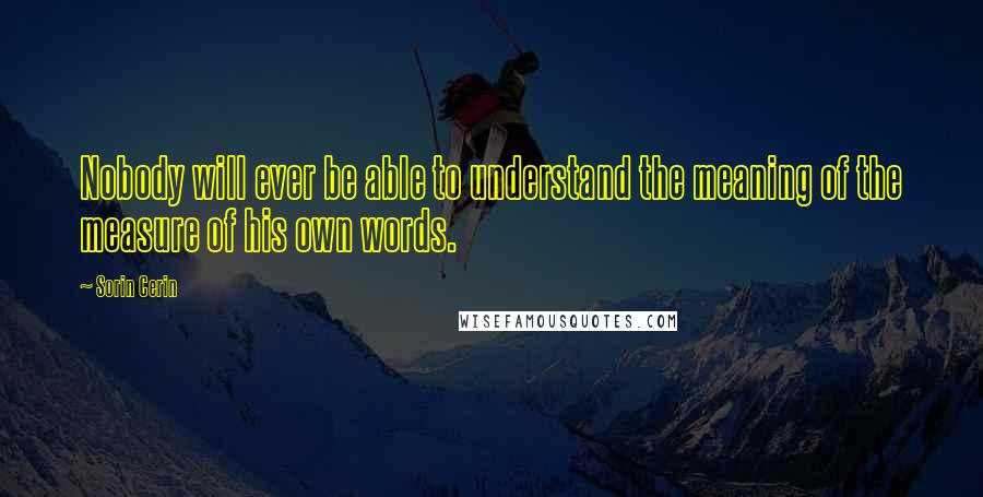 Sorin Cerin Quotes: Nobody will ever be able to understand the meaning of the measure of his own words.