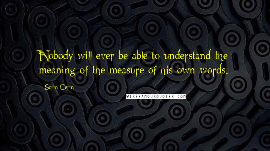 Sorin Cerin Quotes: Nobody will ever be able to understand the meaning of the measure of his own words.