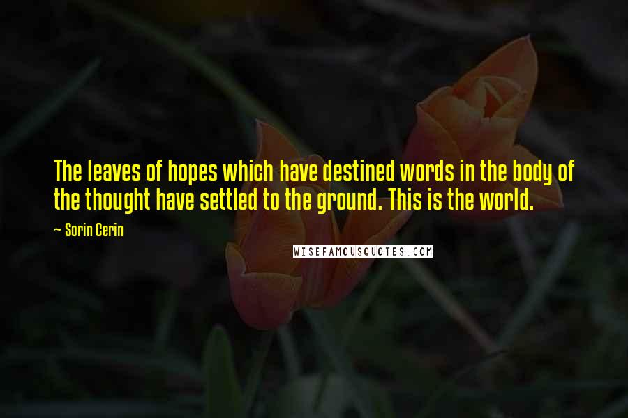 Sorin Cerin Quotes: The leaves of hopes which have destined words in the body of the thought have settled to the ground. This is the world.