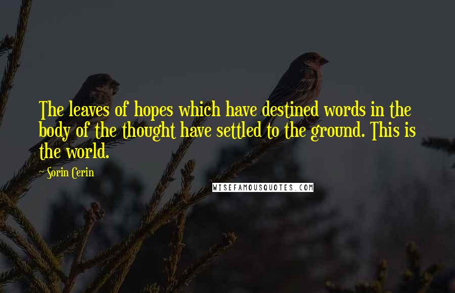 Sorin Cerin Quotes: The leaves of hopes which have destined words in the body of the thought have settled to the ground. This is the world.