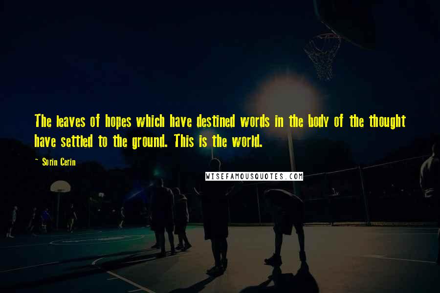Sorin Cerin Quotes: The leaves of hopes which have destined words in the body of the thought have settled to the ground. This is the world.