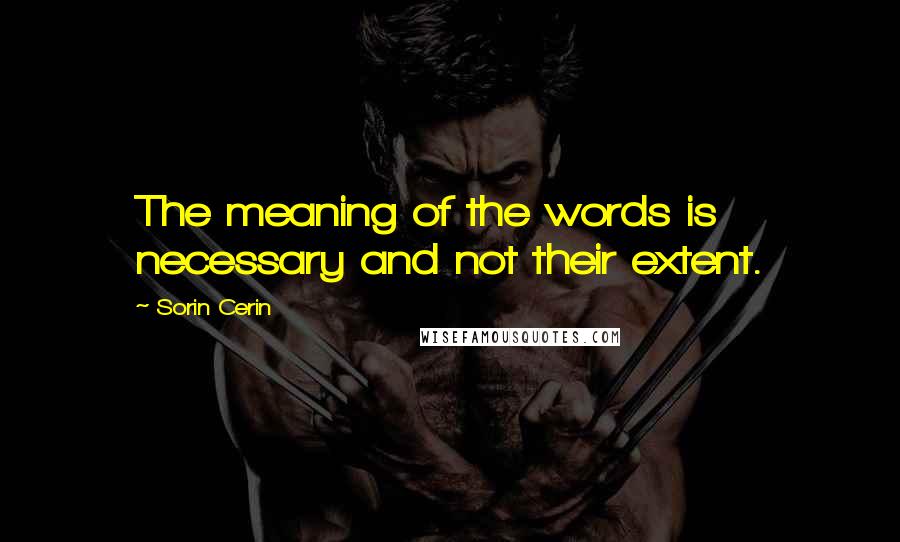 Sorin Cerin Quotes: The meaning of the words is necessary and not their extent.