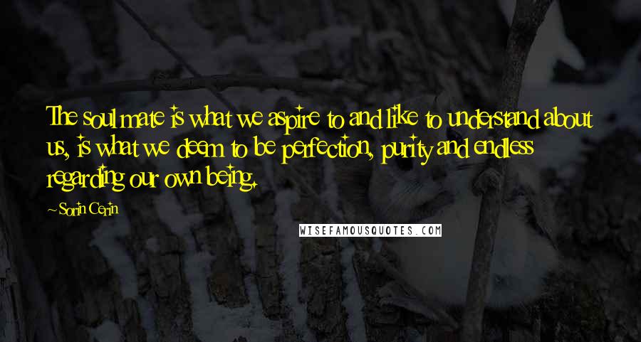 Sorin Cerin Quotes: The soul mate is what we aspire to and like to understand about us, is what we deem to be perfection, purity and endless regarding our own being.