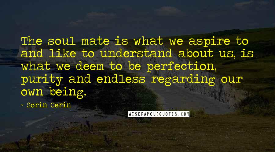 Sorin Cerin Quotes: The soul mate is what we aspire to and like to understand about us, is what we deem to be perfection, purity and endless regarding our own being.