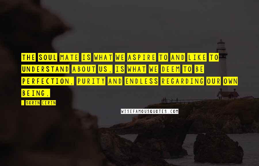 Sorin Cerin Quotes: The soul mate is what we aspire to and like to understand about us, is what we deem to be perfection, purity and endless regarding our own being.