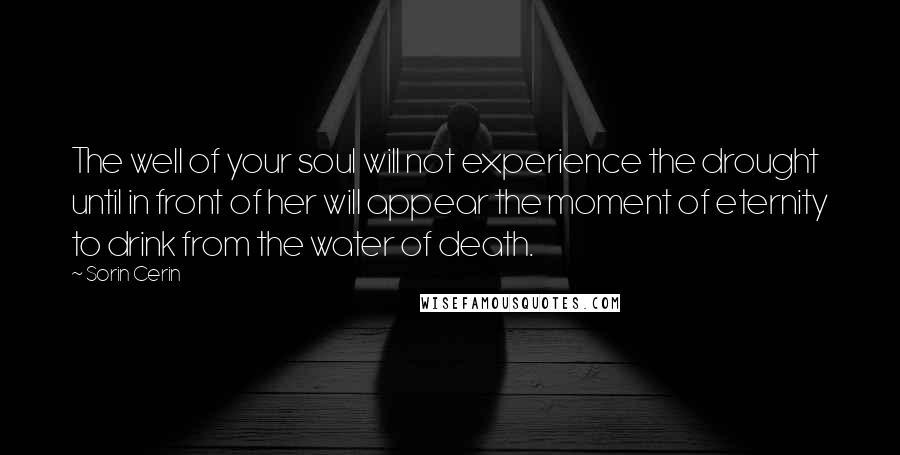 Sorin Cerin Quotes: The well of your soul will not experience the drought until in front of her will appear the moment of eternity to drink from the water of death.