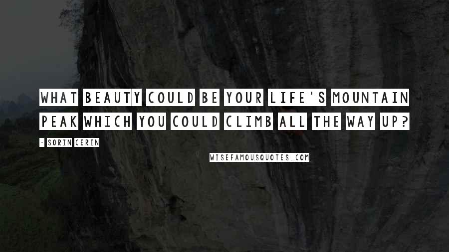 Sorin Cerin Quotes: What beauty could be your life's mountain peak which you could climb all the way up?
