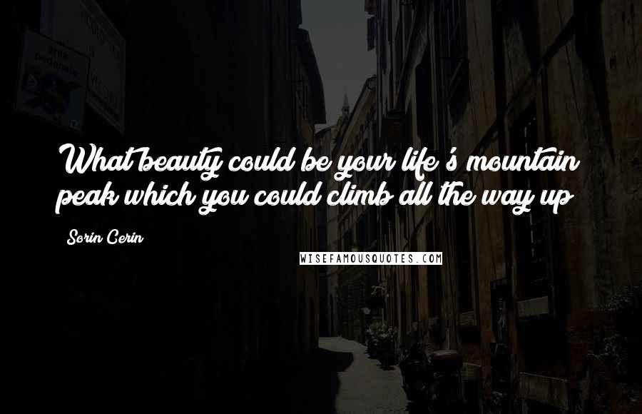Sorin Cerin Quotes: What beauty could be your life's mountain peak which you could climb all the way up?