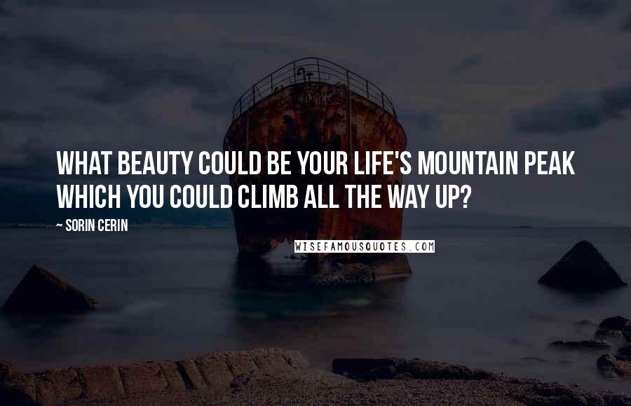 Sorin Cerin Quotes: What beauty could be your life's mountain peak which you could climb all the way up?