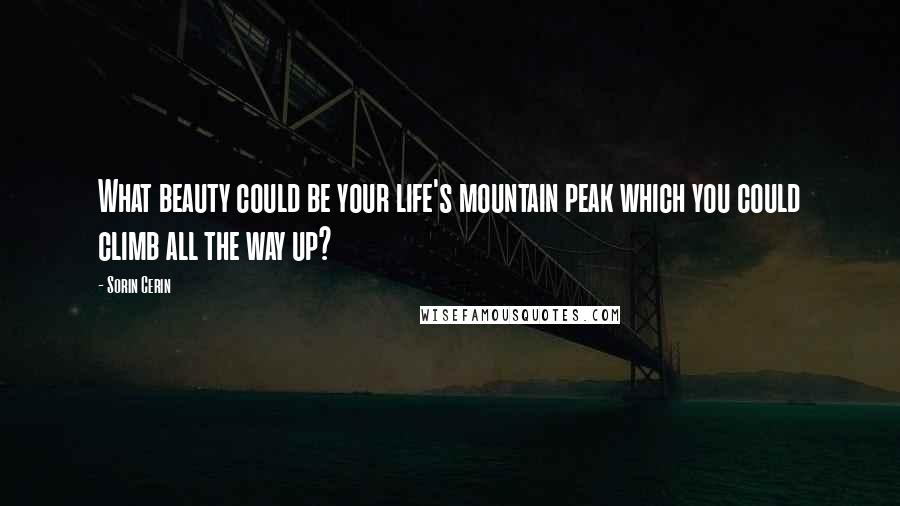 Sorin Cerin Quotes: What beauty could be your life's mountain peak which you could climb all the way up?