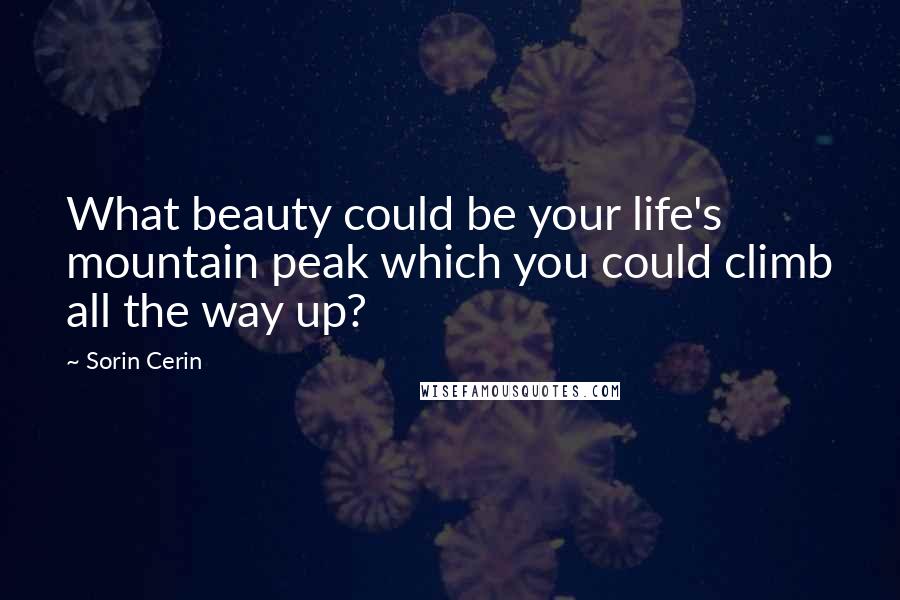 Sorin Cerin Quotes: What beauty could be your life's mountain peak which you could climb all the way up?