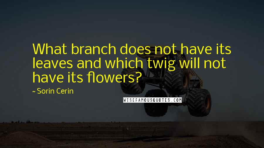 Sorin Cerin Quotes: What branch does not have its leaves and which twig will not have its flowers?