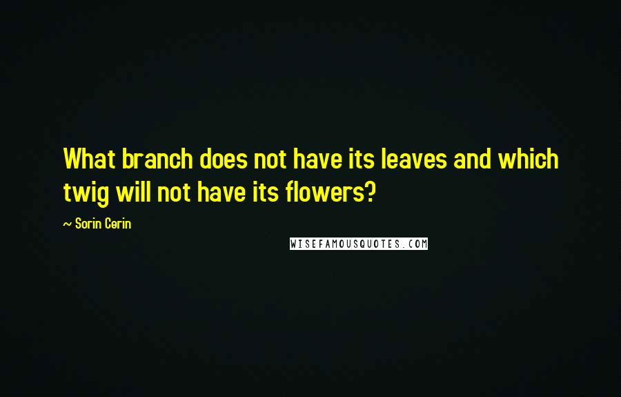 Sorin Cerin Quotes: What branch does not have its leaves and which twig will not have its flowers?