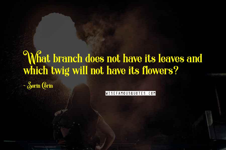 Sorin Cerin Quotes: What branch does not have its leaves and which twig will not have its flowers?