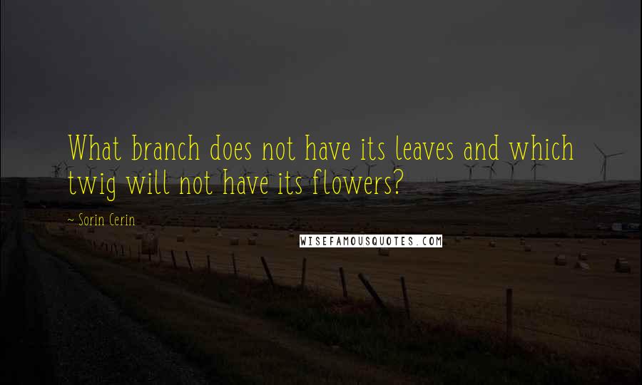 Sorin Cerin Quotes: What branch does not have its leaves and which twig will not have its flowers?