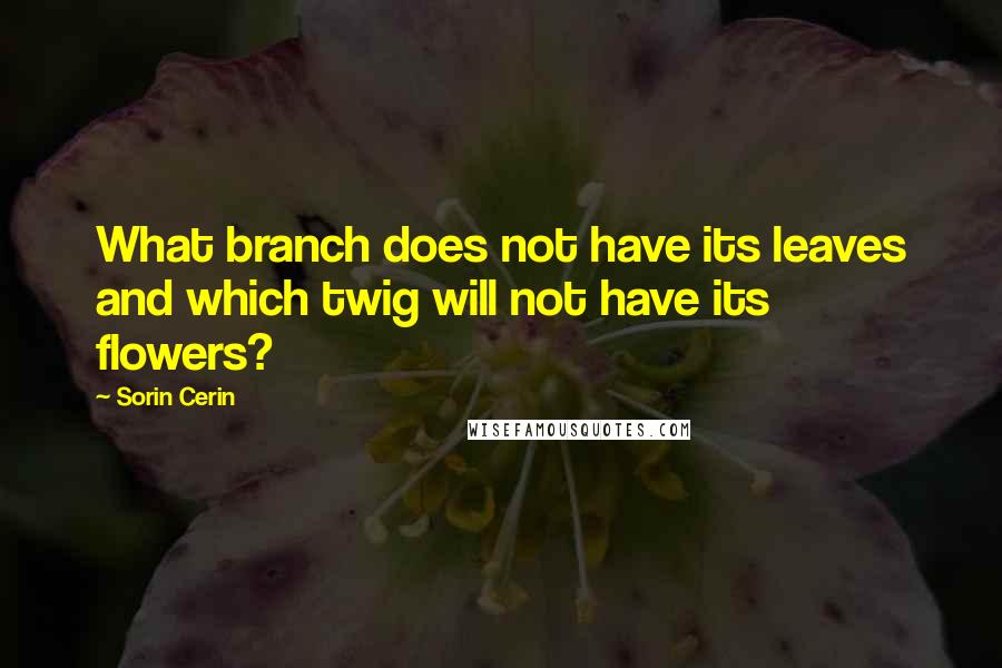 Sorin Cerin Quotes: What branch does not have its leaves and which twig will not have its flowers?
