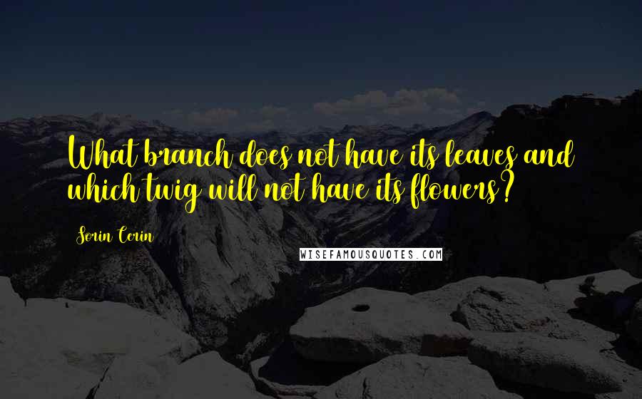 Sorin Cerin Quotes: What branch does not have its leaves and which twig will not have its flowers?