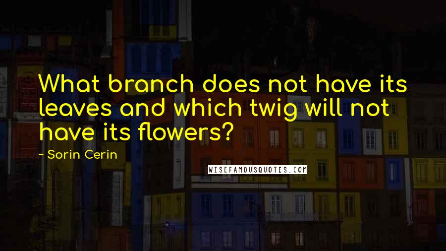 Sorin Cerin Quotes: What branch does not have its leaves and which twig will not have its flowers?