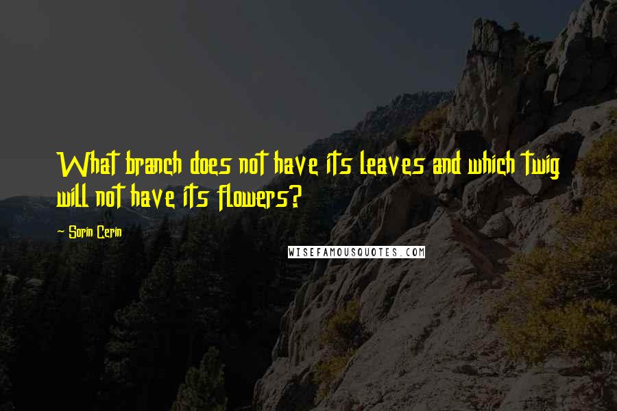 Sorin Cerin Quotes: What branch does not have its leaves and which twig will not have its flowers?