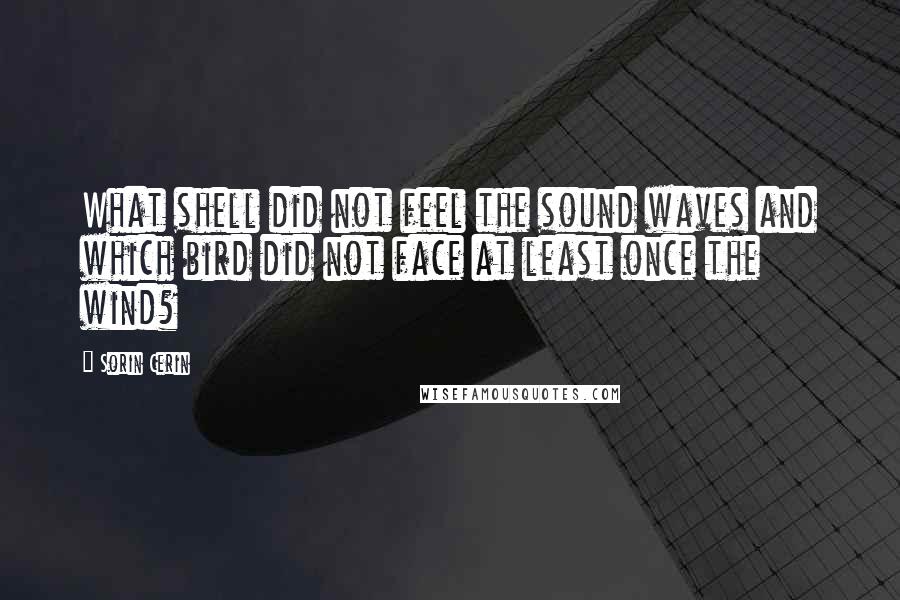 Sorin Cerin Quotes: What shell did not feel the sound waves and which bird did not face at least once the wind?