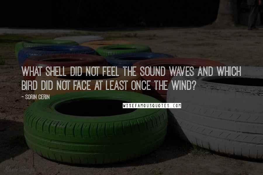 Sorin Cerin Quotes: What shell did not feel the sound waves and which bird did not face at least once the wind?