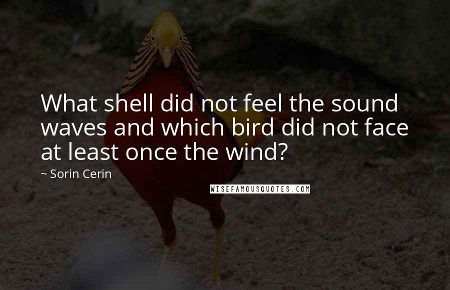 Sorin Cerin Quotes: What shell did not feel the sound waves and which bird did not face at least once the wind?