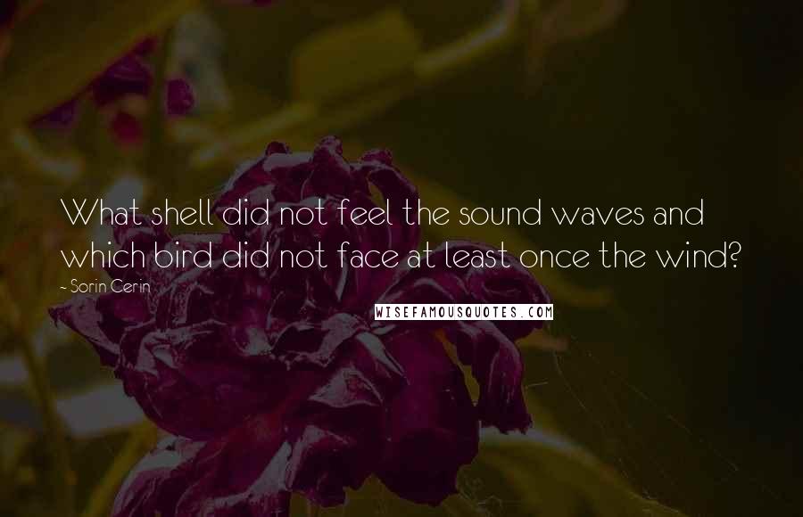 Sorin Cerin Quotes: What shell did not feel the sound waves and which bird did not face at least once the wind?