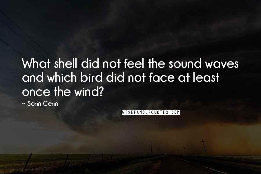 Sorin Cerin Quotes: What shell did not feel the sound waves and which bird did not face at least once the wind?