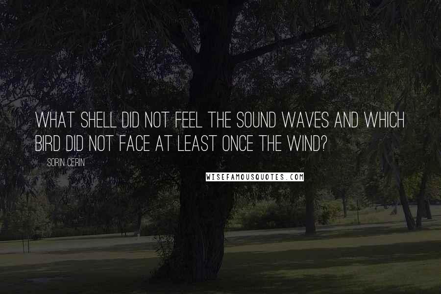 Sorin Cerin Quotes: What shell did not feel the sound waves and which bird did not face at least once the wind?