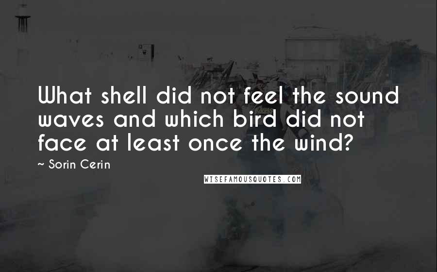 Sorin Cerin Quotes: What shell did not feel the sound waves and which bird did not face at least once the wind?