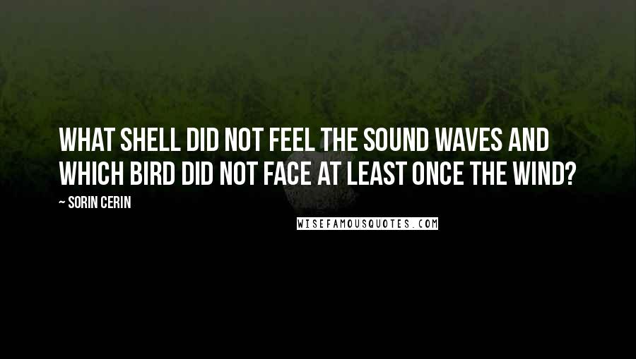 Sorin Cerin Quotes: What shell did not feel the sound waves and which bird did not face at least once the wind?