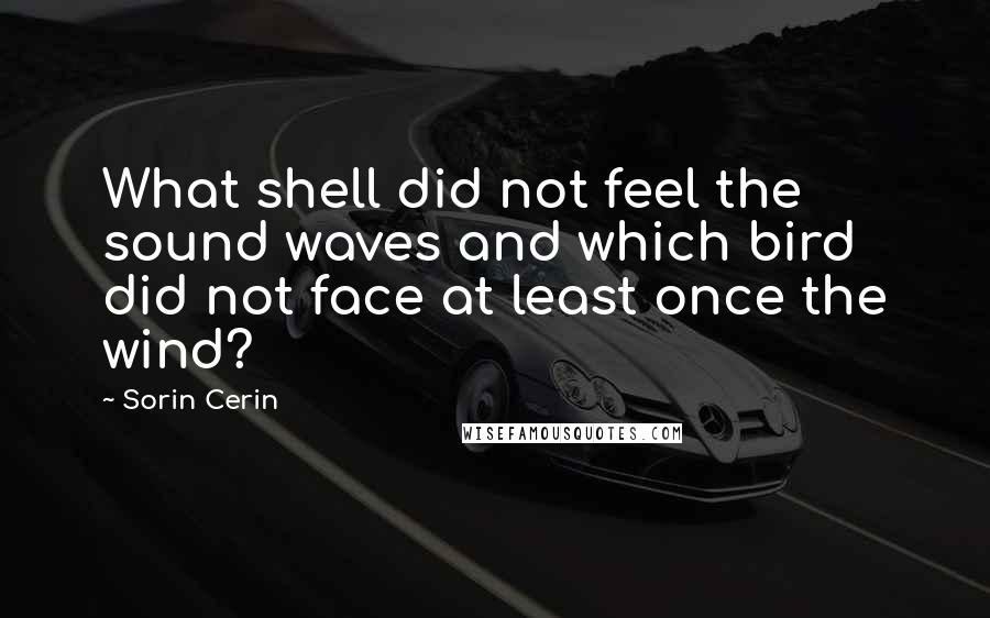 Sorin Cerin Quotes: What shell did not feel the sound waves and which bird did not face at least once the wind?