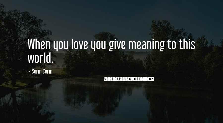 Sorin Cerin Quotes: When you love you give meaning to this world.