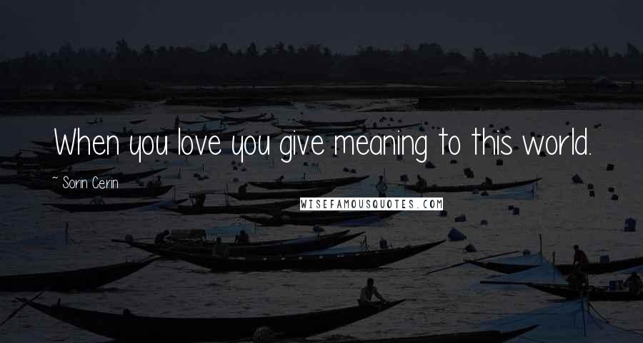 Sorin Cerin Quotes: When you love you give meaning to this world.