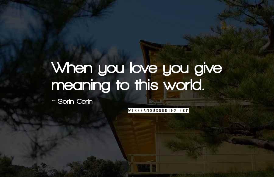 Sorin Cerin Quotes: When you love you give meaning to this world.