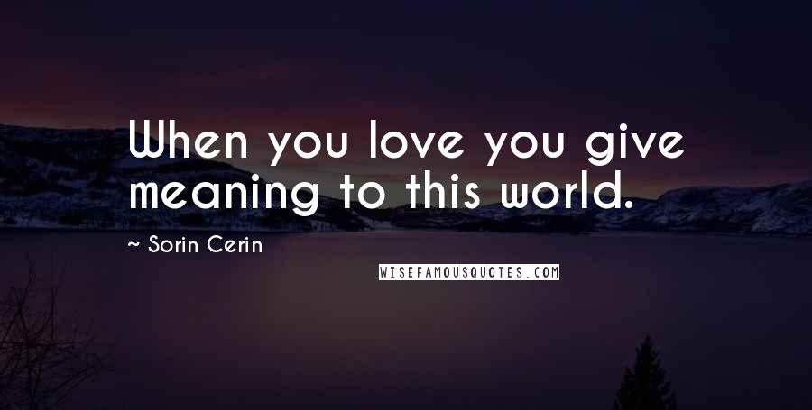 Sorin Cerin Quotes: When you love you give meaning to this world.