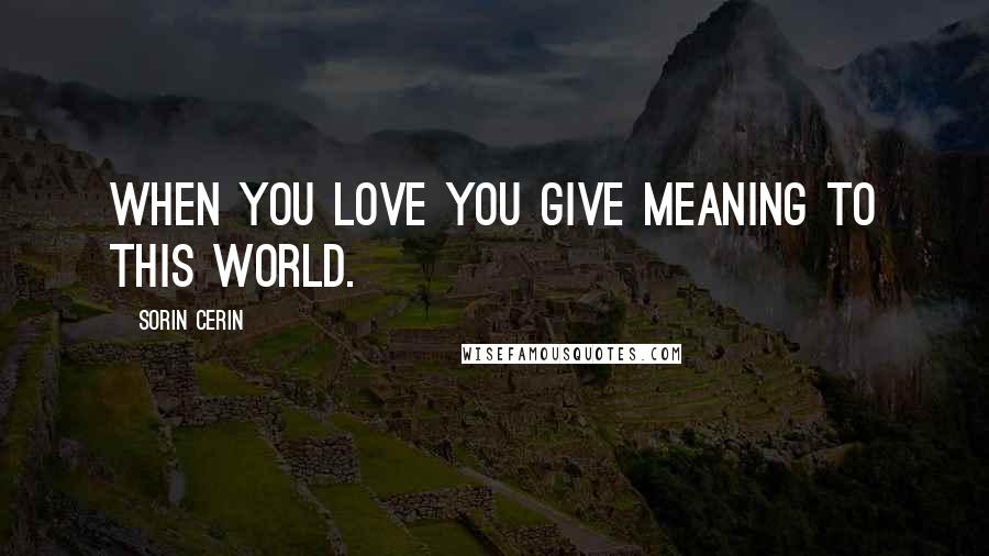 Sorin Cerin Quotes: When you love you give meaning to this world.