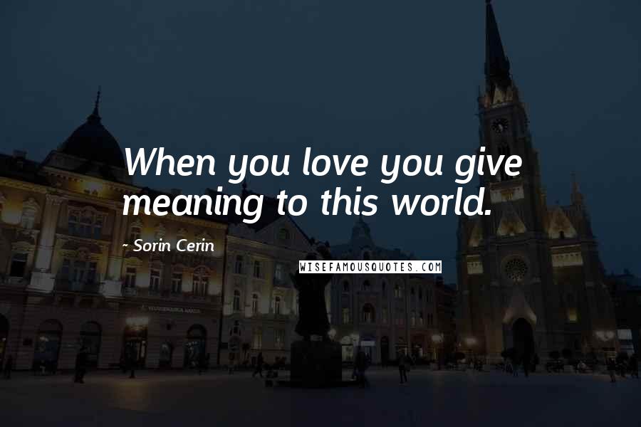 Sorin Cerin Quotes: When you love you give meaning to this world.