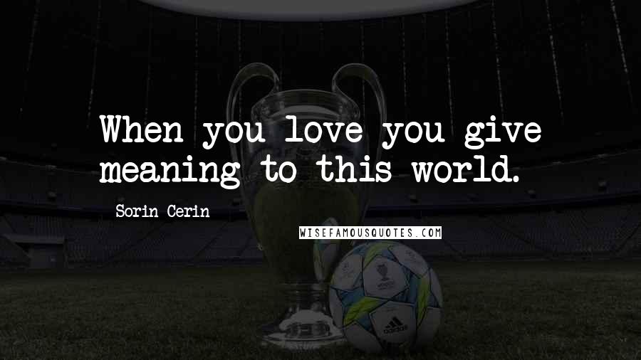 Sorin Cerin Quotes: When you love you give meaning to this world.