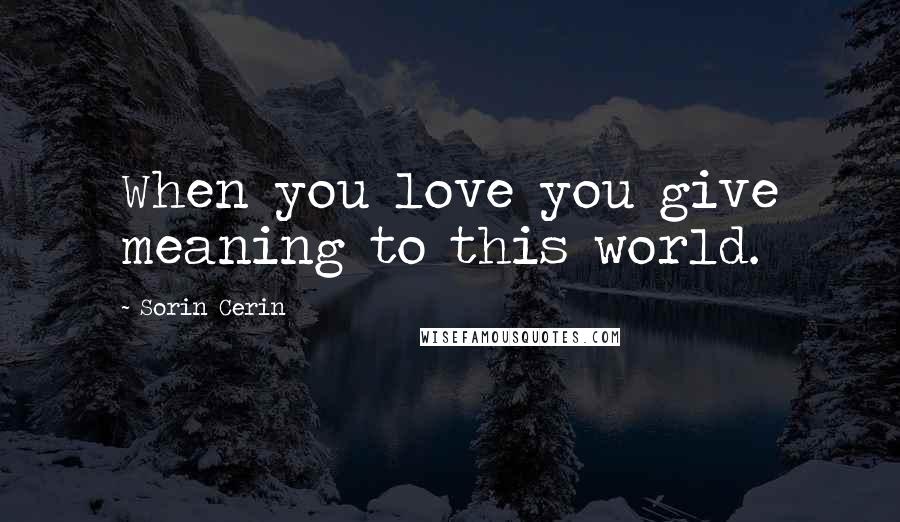 Sorin Cerin Quotes: When you love you give meaning to this world.